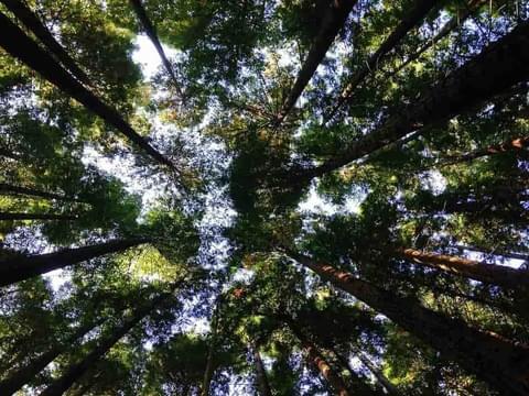 Making sustainability sustainable 2